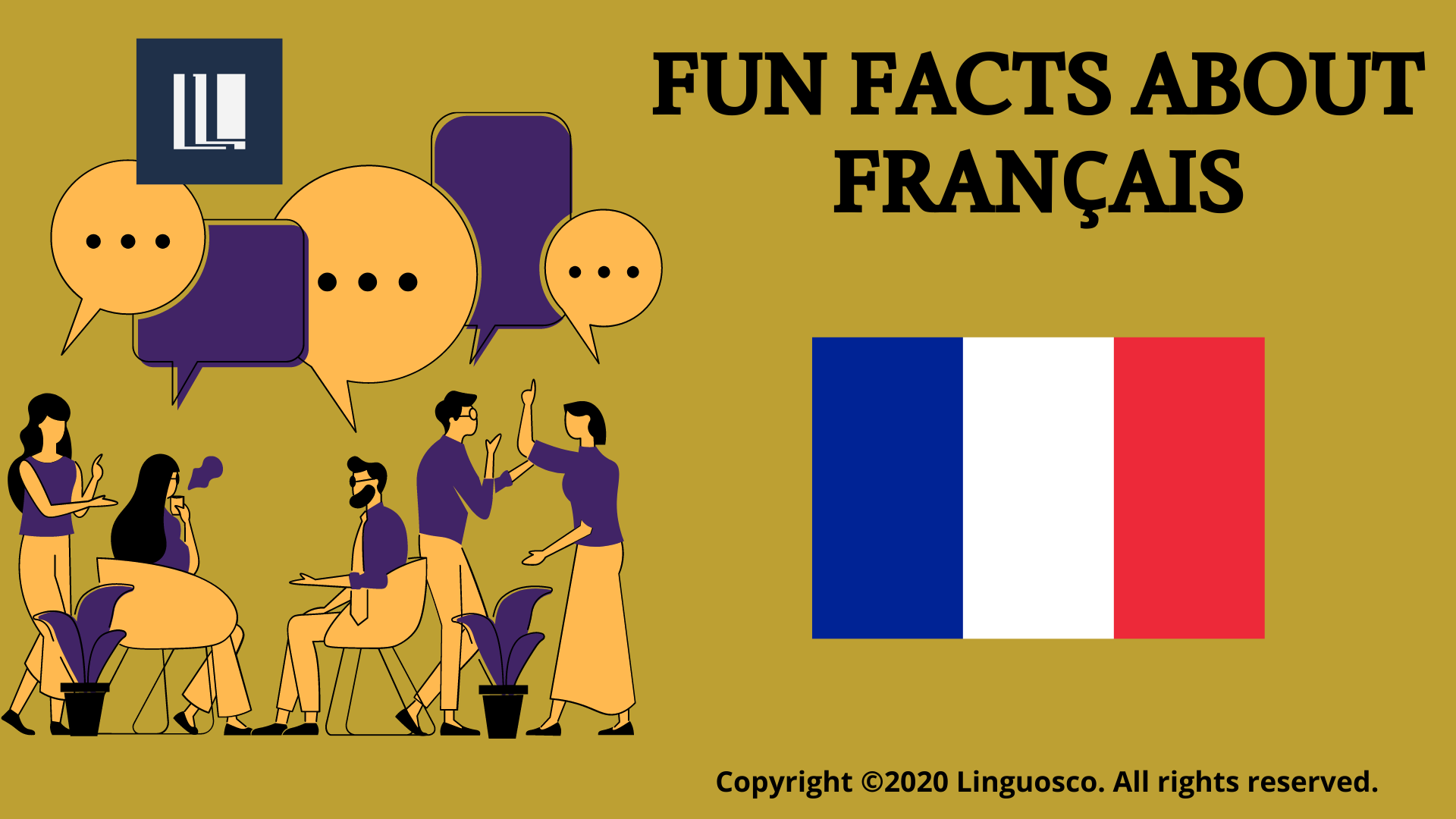 5 Fun Facts About Francais